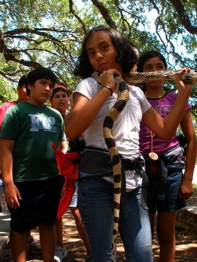 at El Ranchito, near Austin, TX Camper with Louisiana Pine Snake