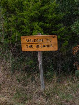 Welcome to the Uplands