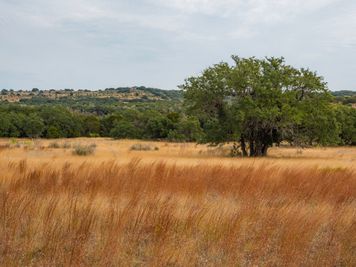 Crown Jewel of the Hill Country, Westcave nature preserve