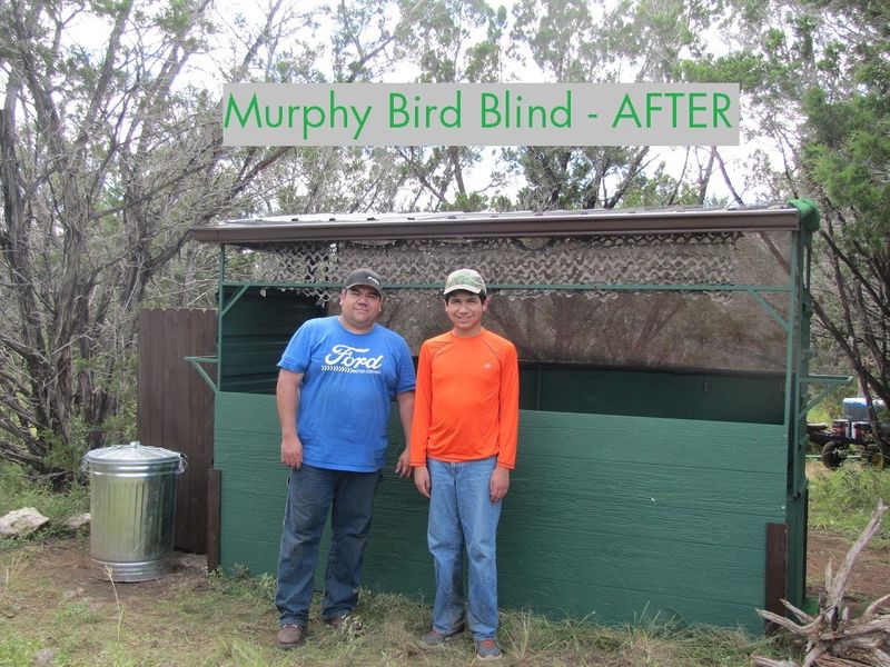 Murphy Bird Blind After.jpg