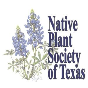 Native Plant Society.jpg