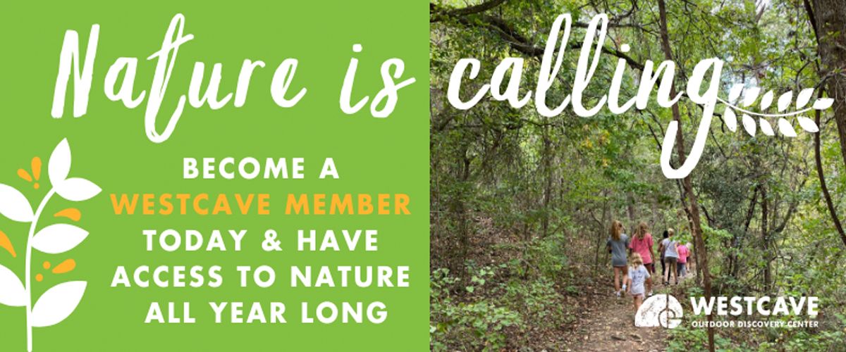 Header3_member banner oct. 2019.jpg