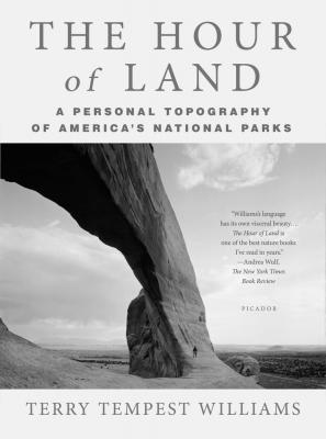 book cover.jpg