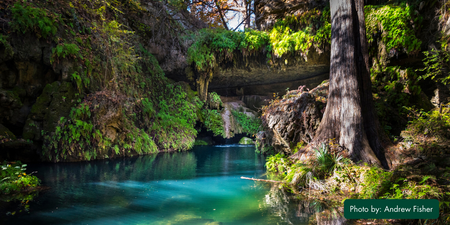 Grotto Walks Westcave