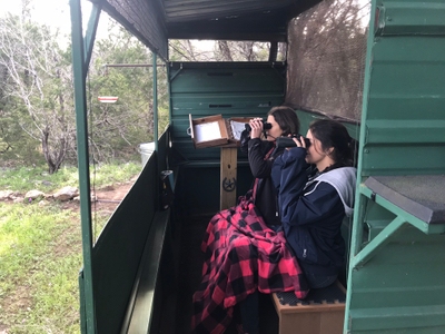 Project FeederWatch being performed at Westcave Preserve. PFW collects data of winter feeder bird populations for best management of high risk bird species. IMG_6253.jpeg