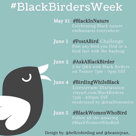 #BlackBirdersWeek