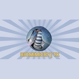 Biomimcry Texas
