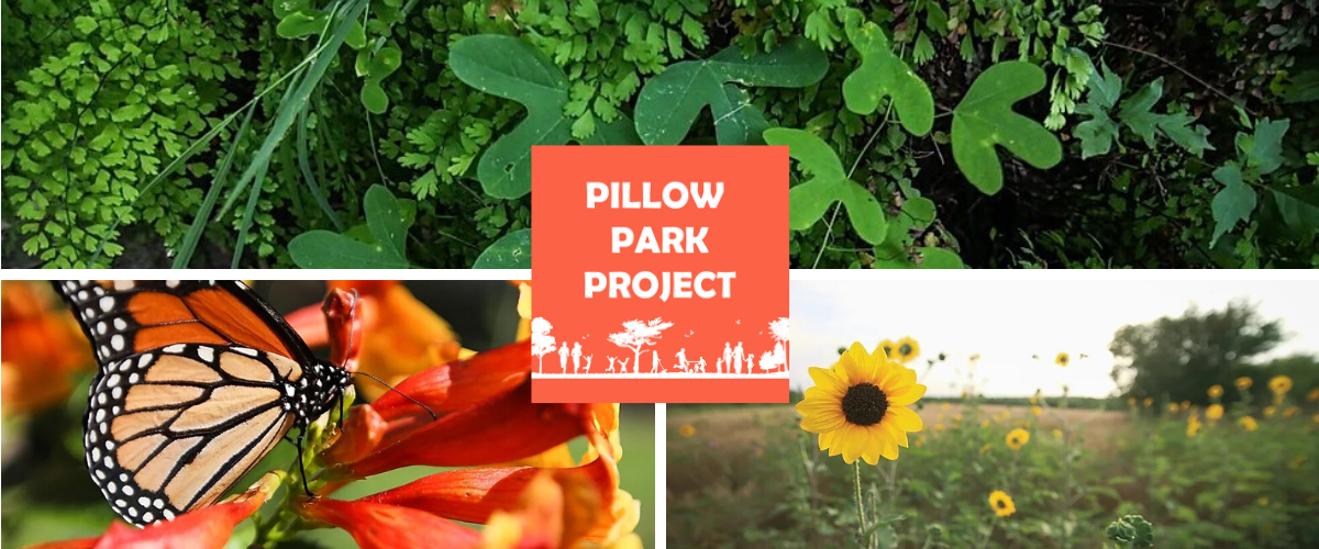 Pillow Park Project