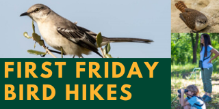 Copy of Copy of Conservation First Friday Bird Hikes.png