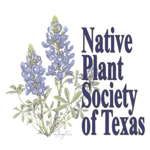 Native Plant Society.jpg