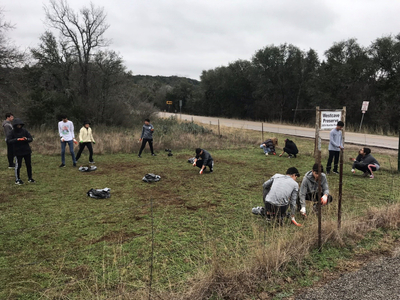 St. Stephens high school sophomores give volunteer time to Westcave Preserve pulling malta starthistle and dismantling an old bench. conservation workday2.jpg