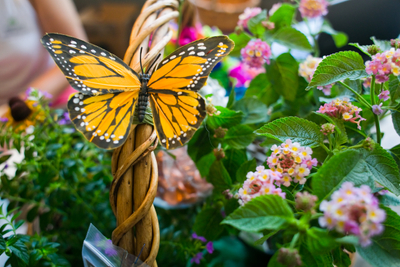 Butterfly Baskets adorn the dinner tables at the Celebration of Children in Nature. _DAS2776.jpg