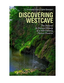 Book Cover for Poster - resize web.jpg