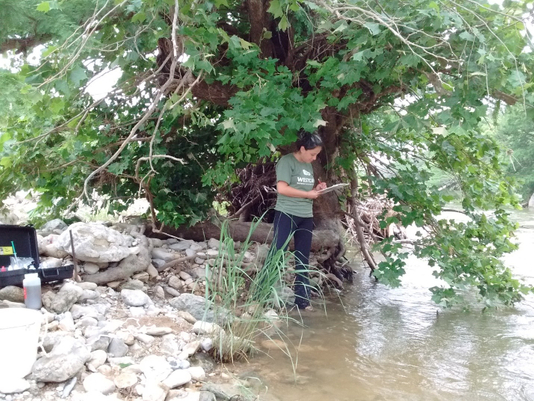 WATER QUALITY.jpg