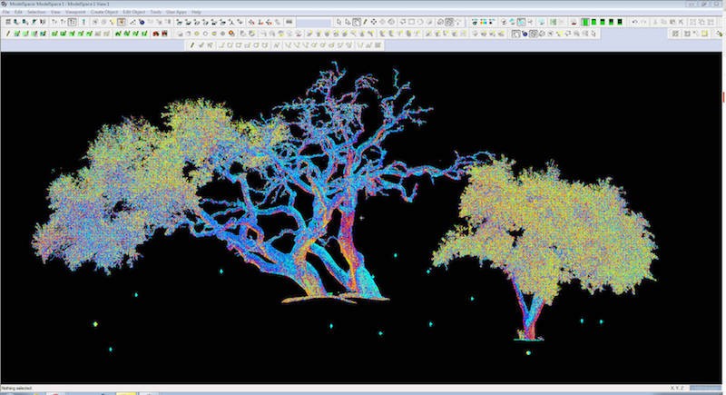 tree-scan-capture-4.jpg
