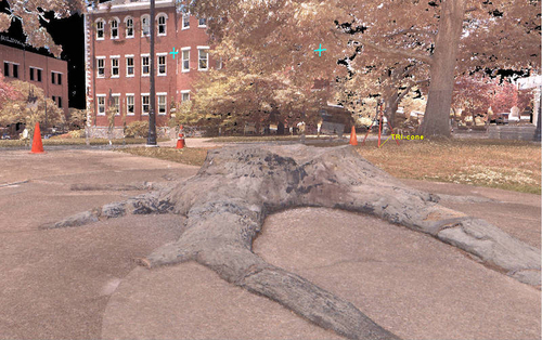 laser-scanning-for-mesh-file-5.jpg