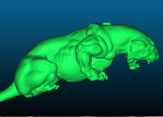 3D Mesh of Panther