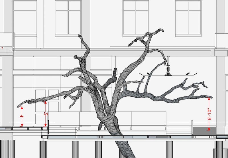 3d-laser-scanning-trees-3.jpg