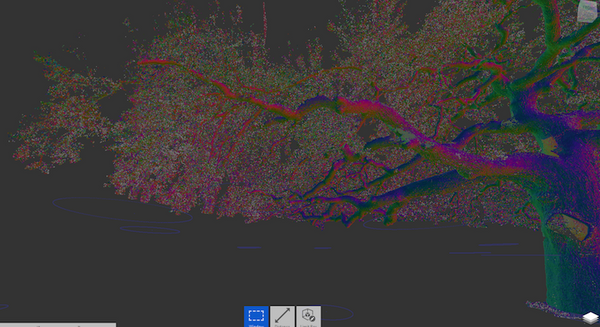 3d-laser-scanning-trees-1.png