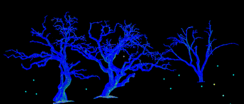 tree-scan-capture-3.png