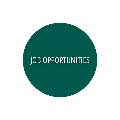 2025_Job Opportunities-Website Graphic.png