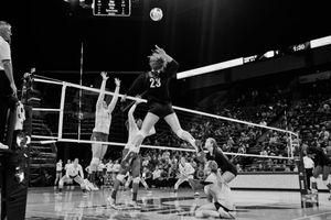 VB_.Stanford.0362 (2).jpg