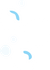 FreddieAutoSpa-bubbles-04.png