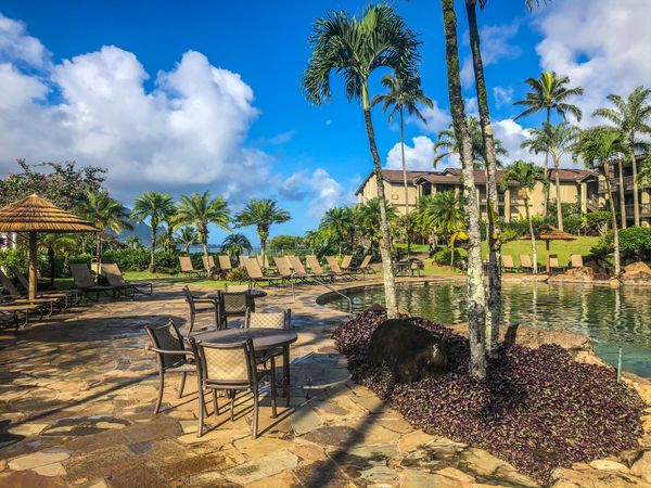 Portion of the main pool
