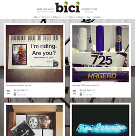 cust_bici713_h.png