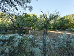 9305 Happy Trail Austin TX-MLS_Size-020-exterior26-1024x768-72dpi.jpg