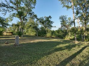 9305 Happy Trail Austin TX-MLS_Size-030-exterior36-1024x768-72dpi.jpg