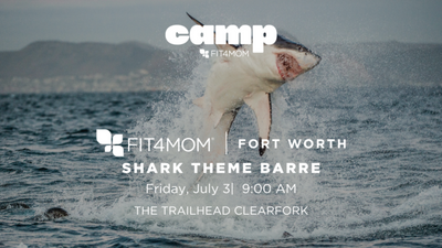 JUL 3 Shark Theme Stroller Barre.png