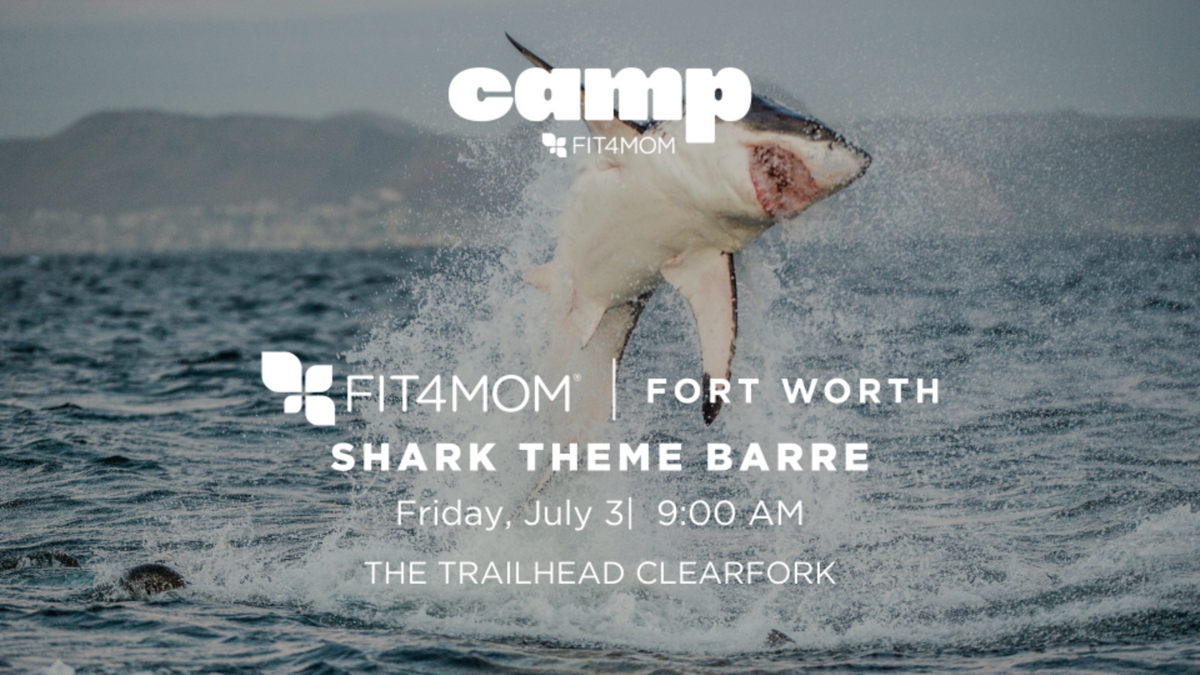 JUL 3 Shark Theme Stroller Barre.png