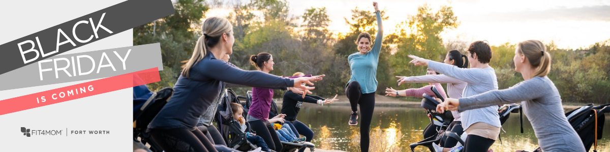 FW Black Friday Banner.png