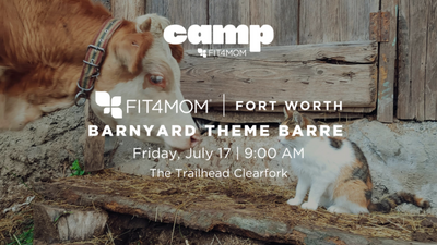 JUL 17 Barnyard Theme Barre.png