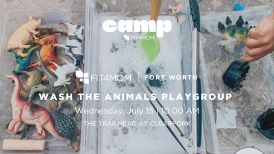 JUL 15 Wash the Animals Playgroup.png