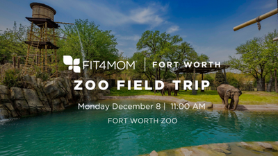 DEC 8 Zoo Field Trip.png