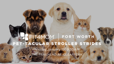 JANUARY 19 Pet-tacular Stroller Strides.png