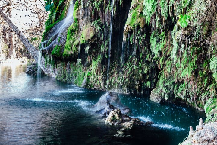 Krause Springs Krause Springs Texas Swimming Hole