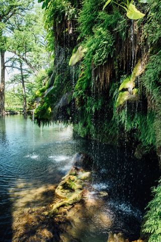 Krause Springs Krause Springs Texas Swimming Hole