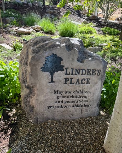 IMG_0479 Medium.jpeg