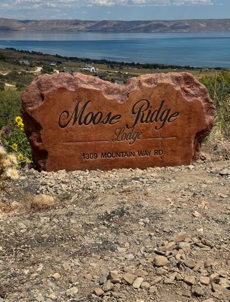 IMG_0733 Medium.jpeg