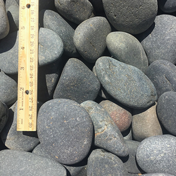 Mexican Beach Pebbles in landscaping