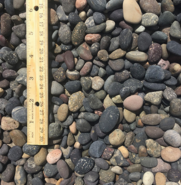 Mexican Beach Pebbles 5/8 in