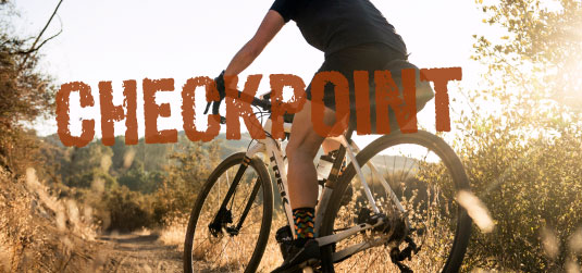 CHECKPOINT-PANEL.jpg