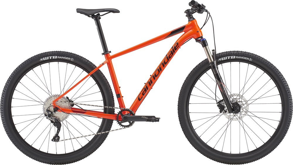 2018 Trail 3.jpg