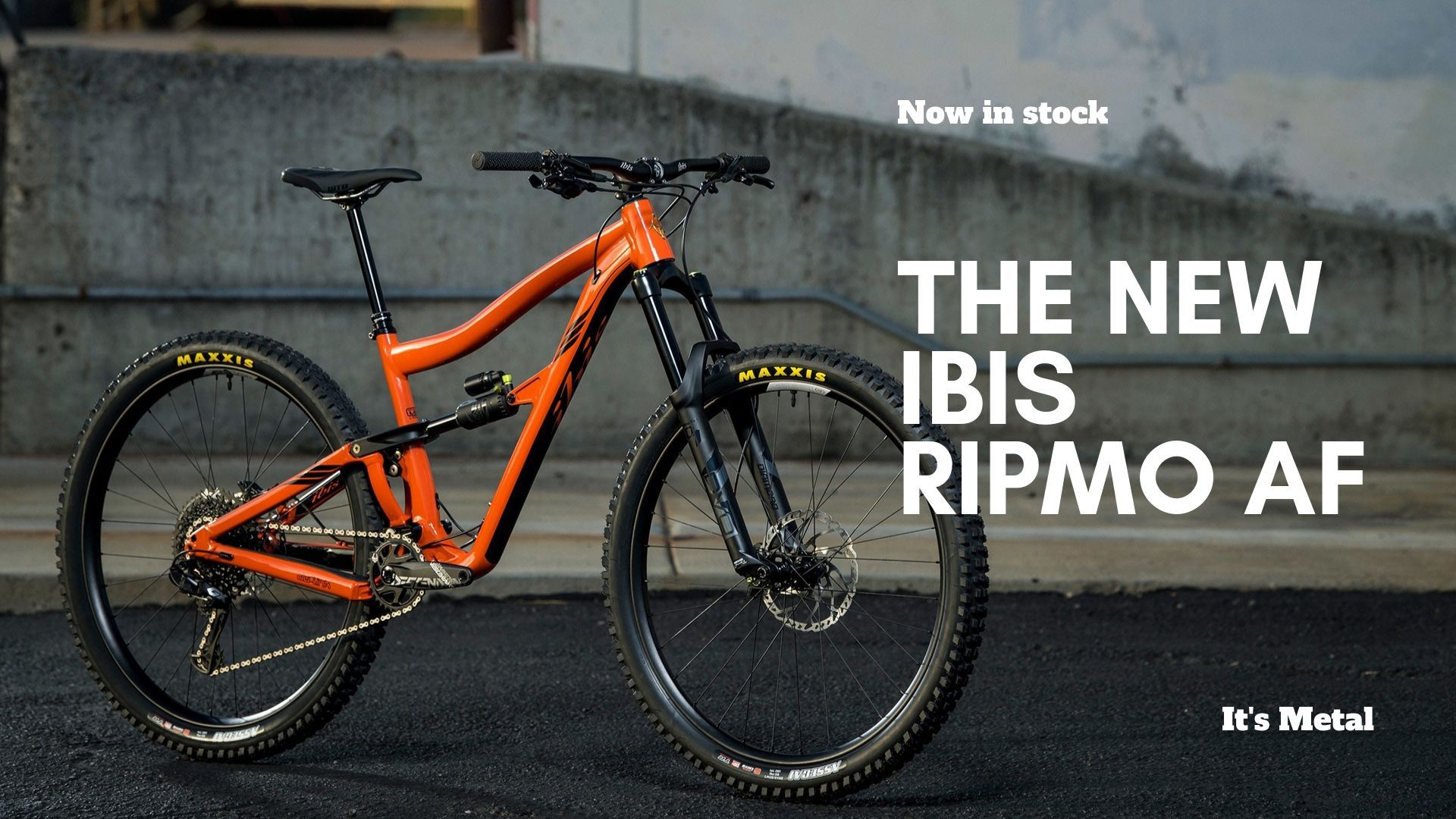 ibis bicycle dealers