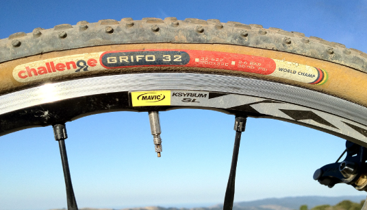 grifo-panel-2.png