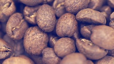 2017 REEL 6.00_01_18_00.Still013.jpg