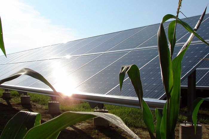 Agricultural Solar Panels for Farmland